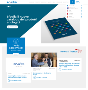 La Nuova Home Page Del Sito Enartis Realizzato Da Dual